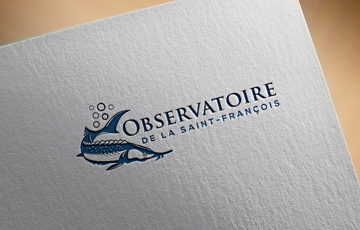 Logo Design by Logo Care. for this project | Design #36377123