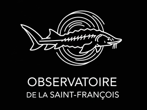 Logo Design by HSL Brain for this project | Design: #36375332