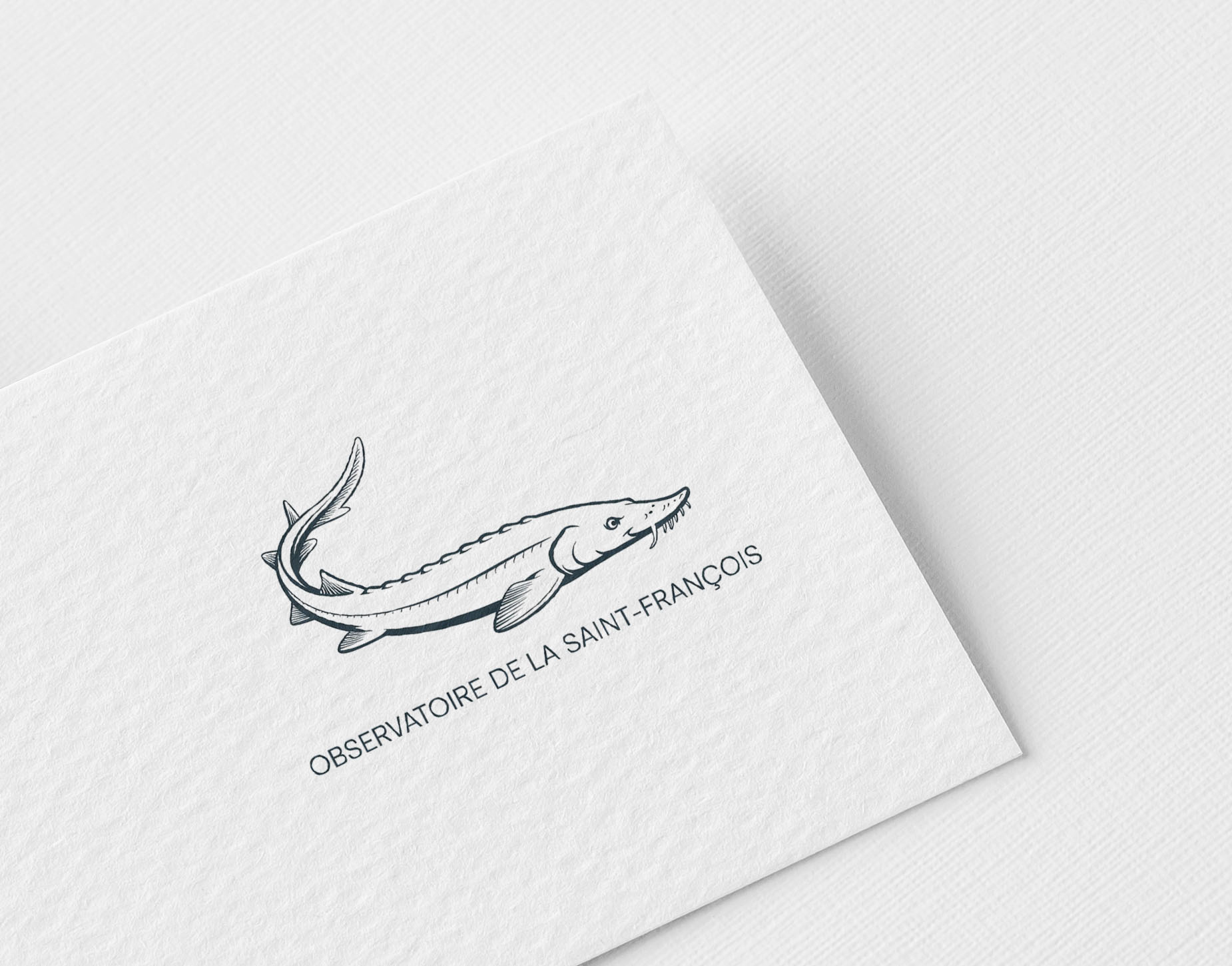 Design de Logo par Jena Siraj pour ce projet | Design #36377209