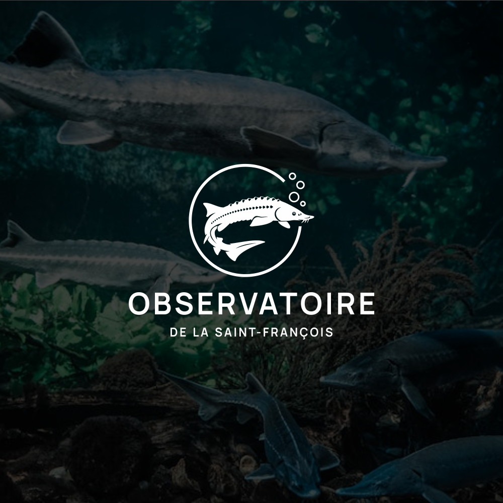 Logo Design by Slamet for this project | Design #36377977