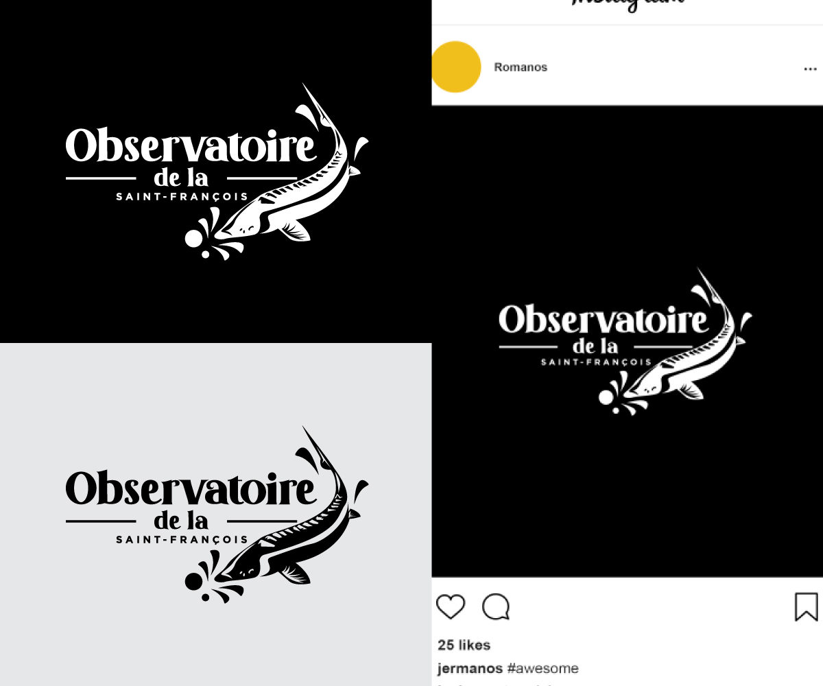 Logo Design by Ansh Design for this project | Design #36408022