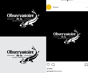 Logo Design by Ansh Design for this project | Design: #36408022