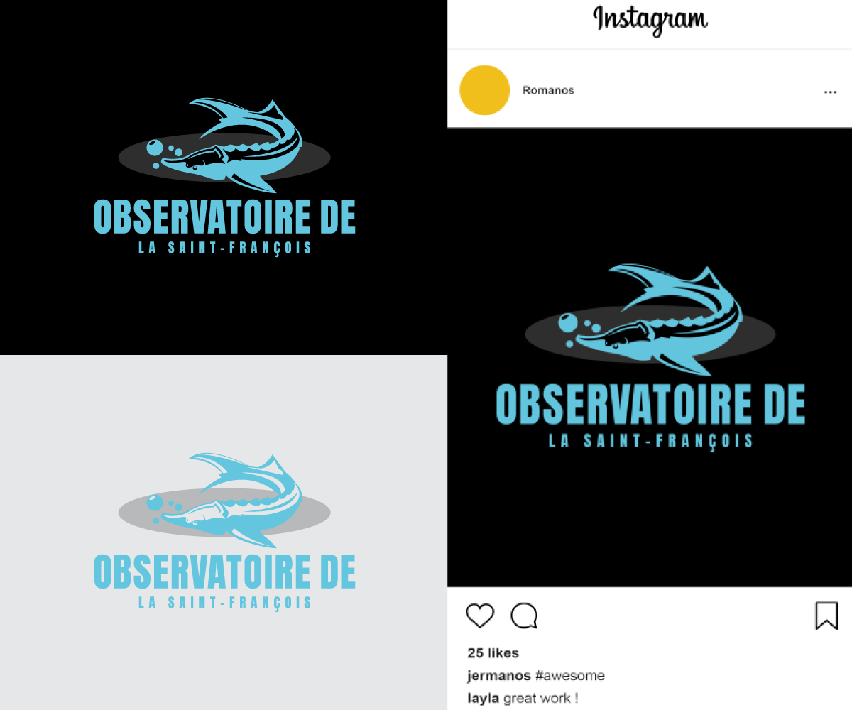 Logo Design by Ansh Design for this project | Design #36408024