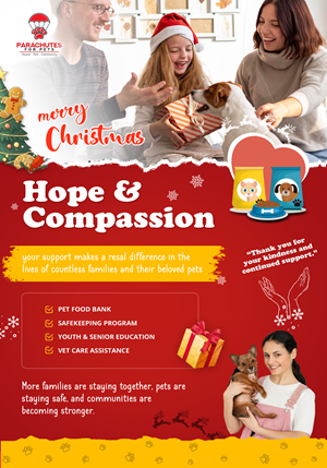 Stationery Design by Ascinate