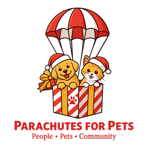 Graphic Design by smsaifkhaled for this project | Design: #36385994