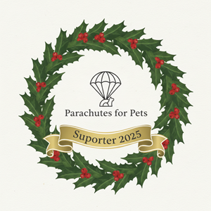 Graphic Design by Bangla React for this project | Design: #36389015