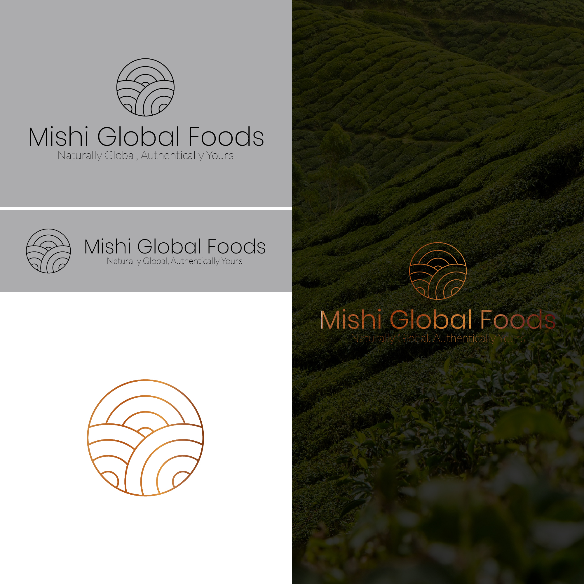 Logo Design by gimbri for PanNA Ecomerce and Logistics Ltd  | Design #36482258