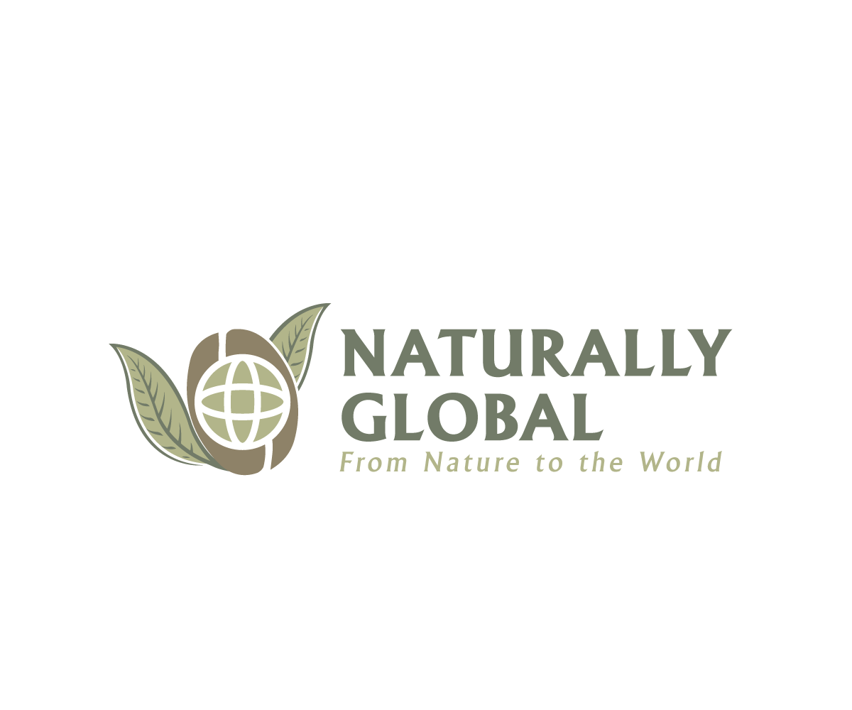 Logo Design by UMBRA Designs for PanNA Ecomerce and Logistics Ltd  | Design #36454903