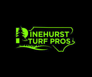 Diseño de Logo por Innovative Graphix para este proyecto | Diseño: #36374132