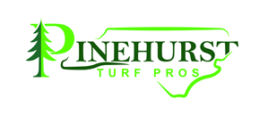 Diseño de Logo por Brandaura para este proyecto | Diseño: #36407365