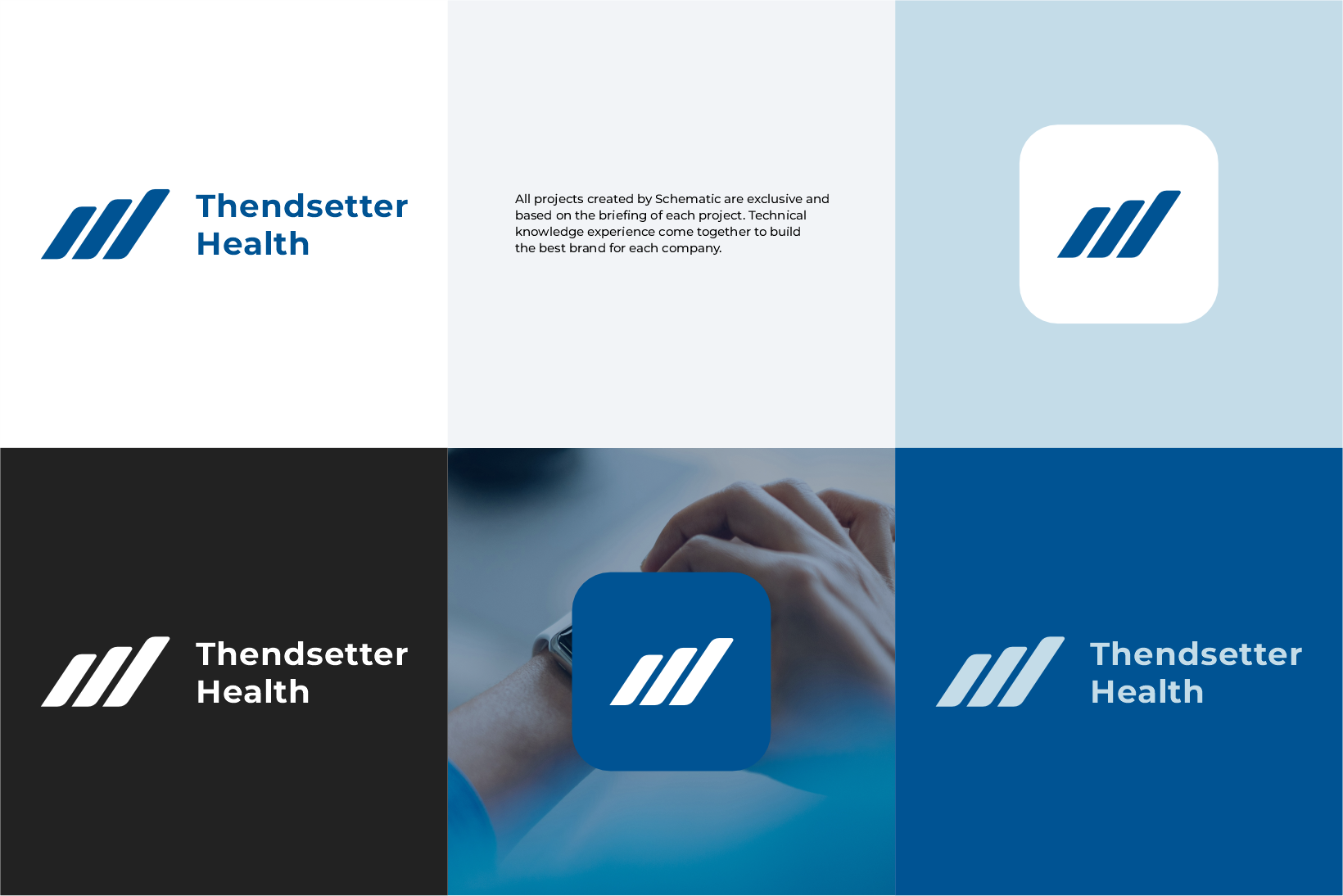 Logo Design by Schematic Studio for Paradigm MedSolutions | Design #36385030