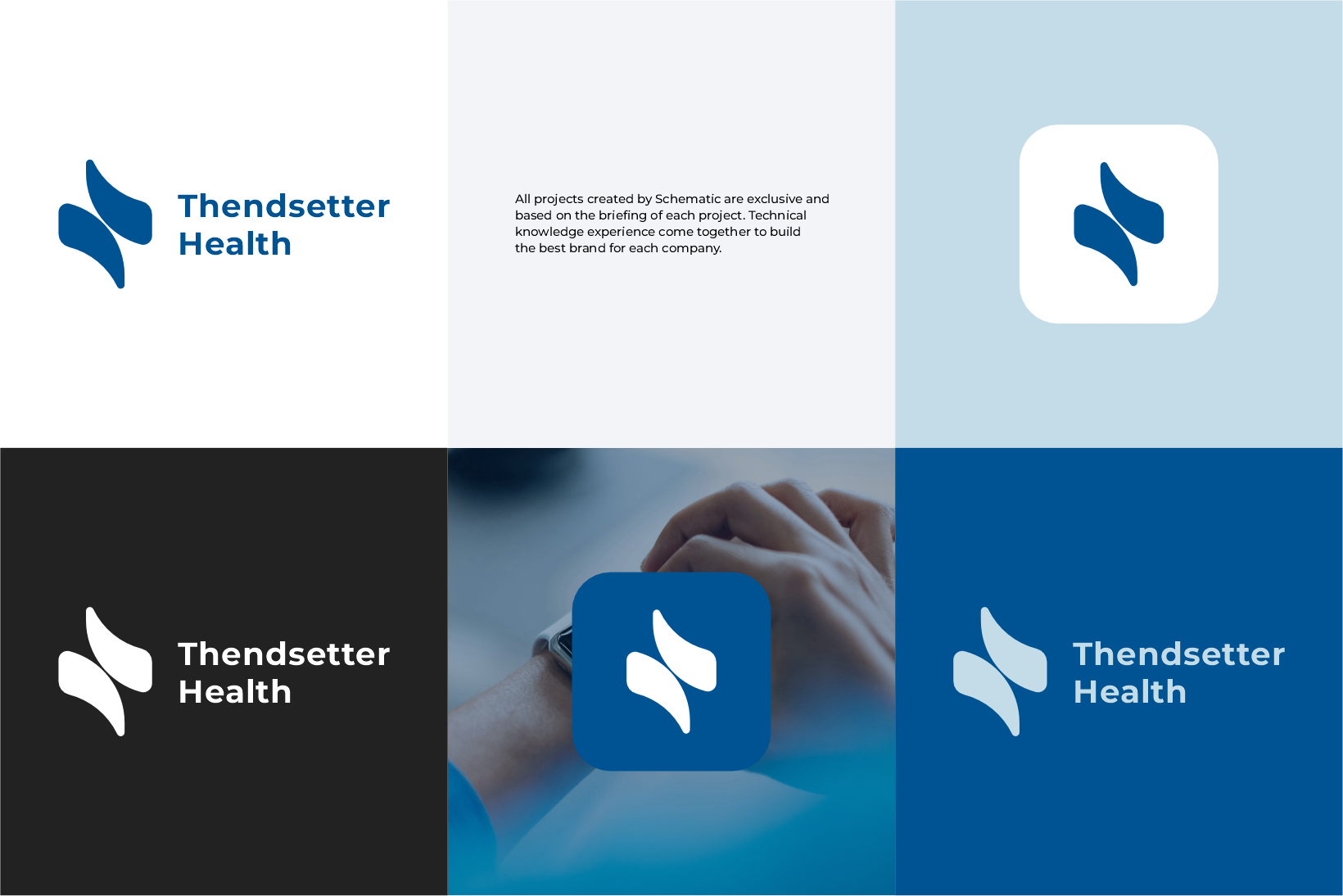 Logo Design by Schematic Studio for Paradigm MedSolutions | Design #36385033