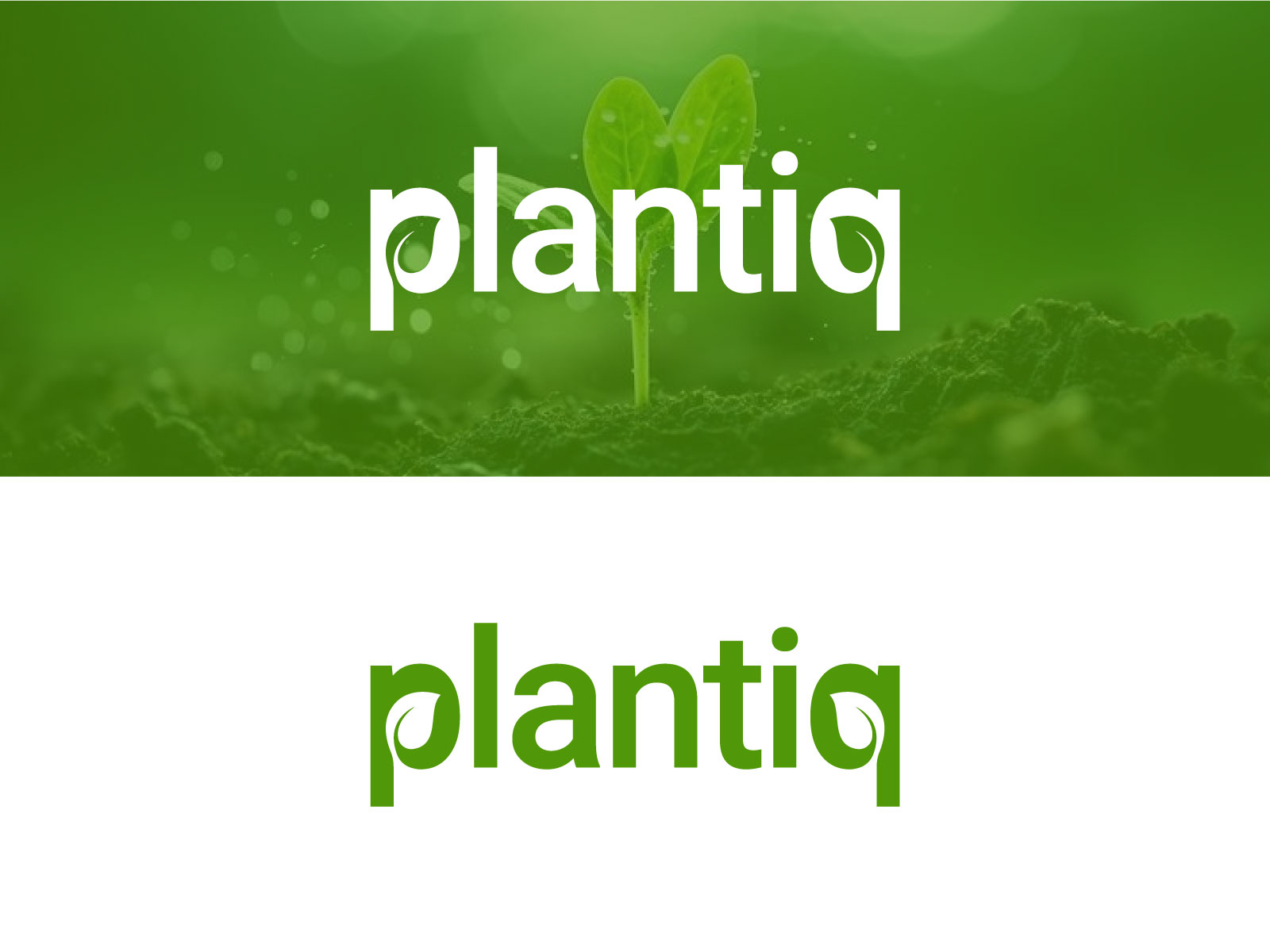 Logo Design by Sbranding for Siolag Holding AG | Design #36396063