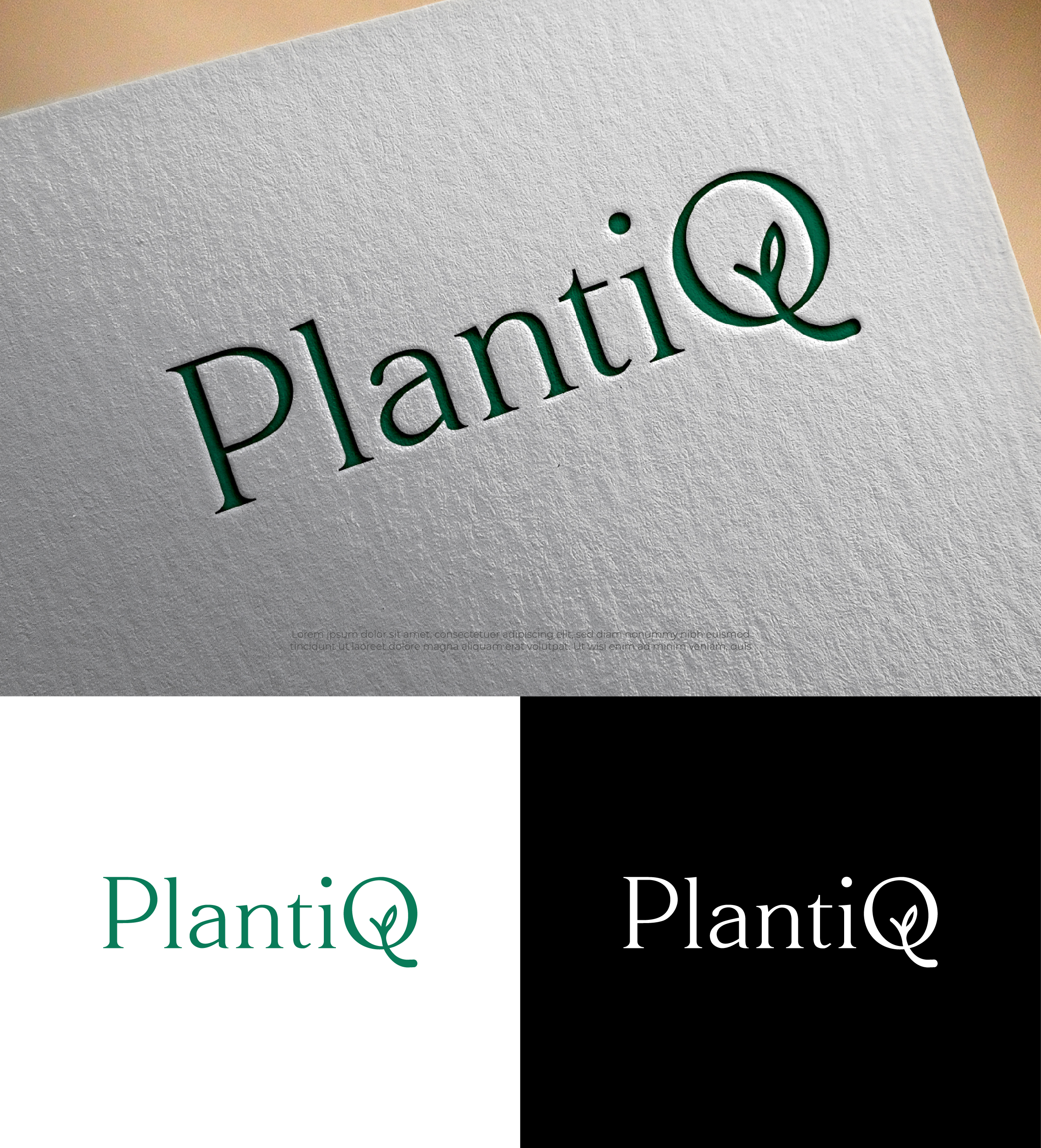 Logo Design by Creative Poli for Siolag Holding AG | Design #36385551