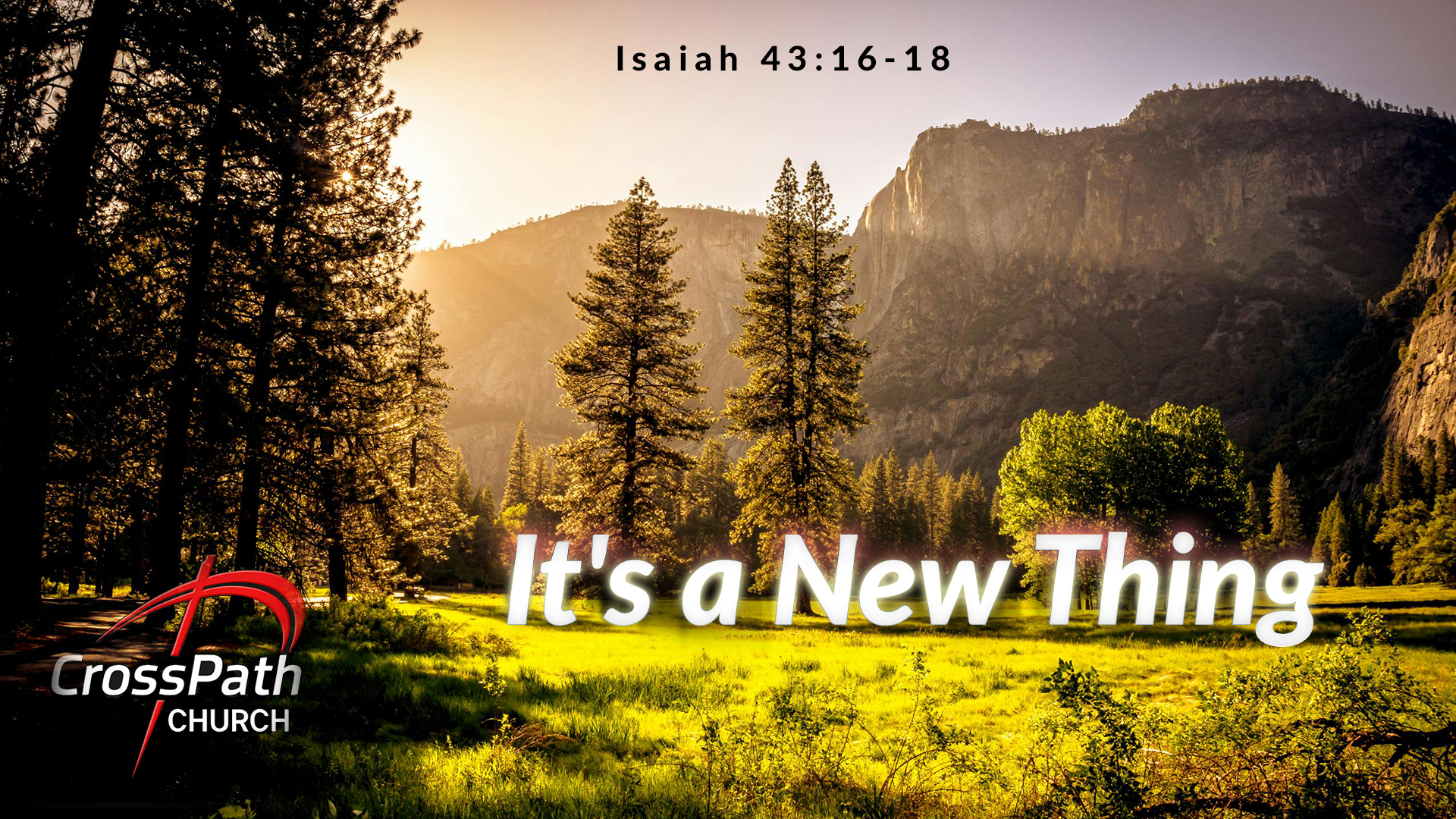 Graphic Design by MNM for this project | Design #36431237