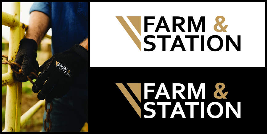 Diseño de Logo por Flying Spade Graphics para este proyecto | Diseño #36444170