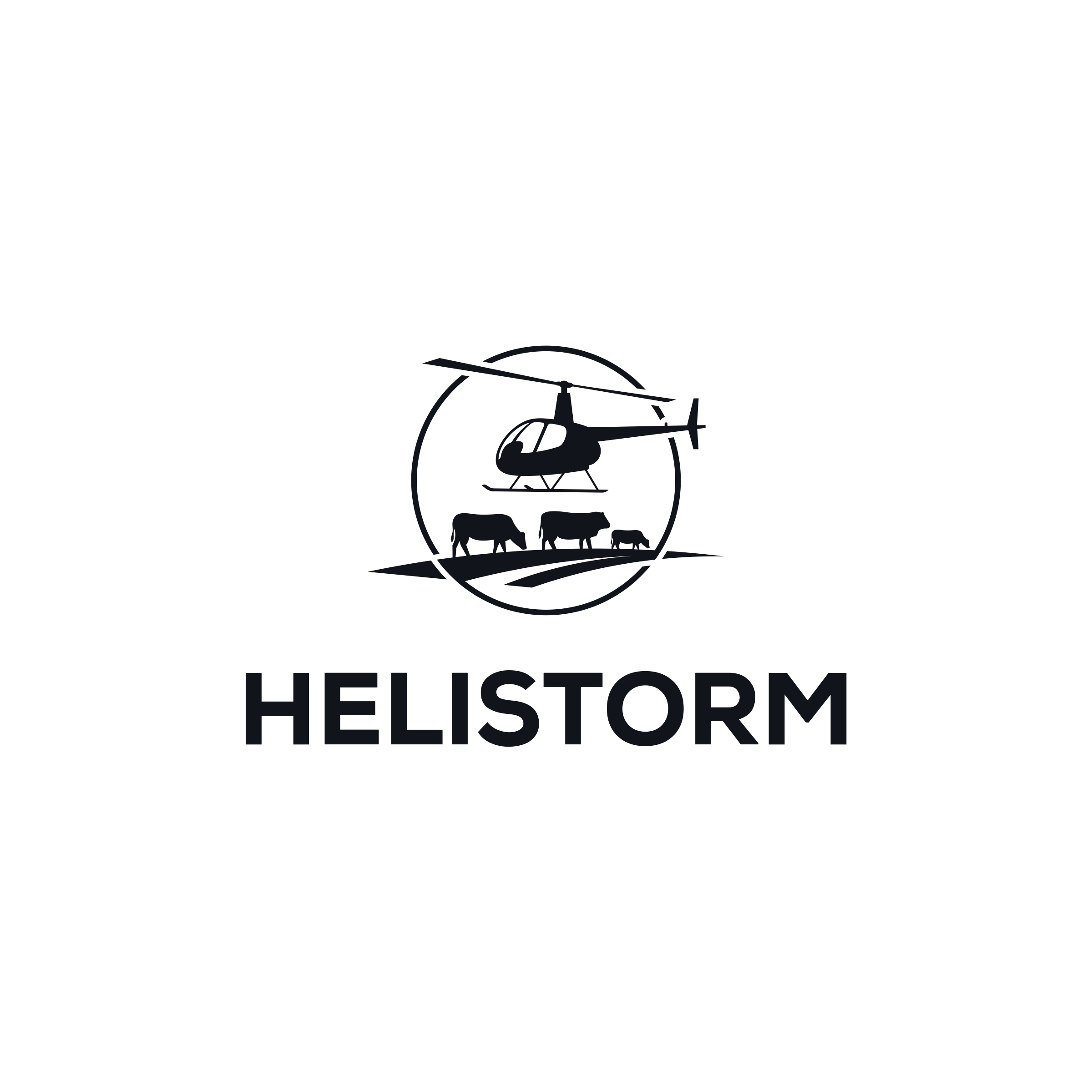 Logo Design by cindaku for HELISTORM PTY LTD | Design #36404210