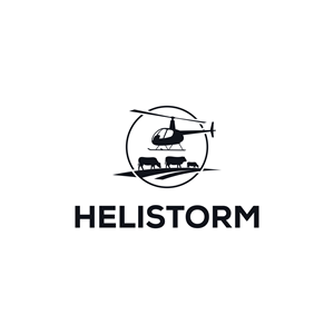 Logo Design by cindaku for HELISTORM PTY LTD | Design: #36404210