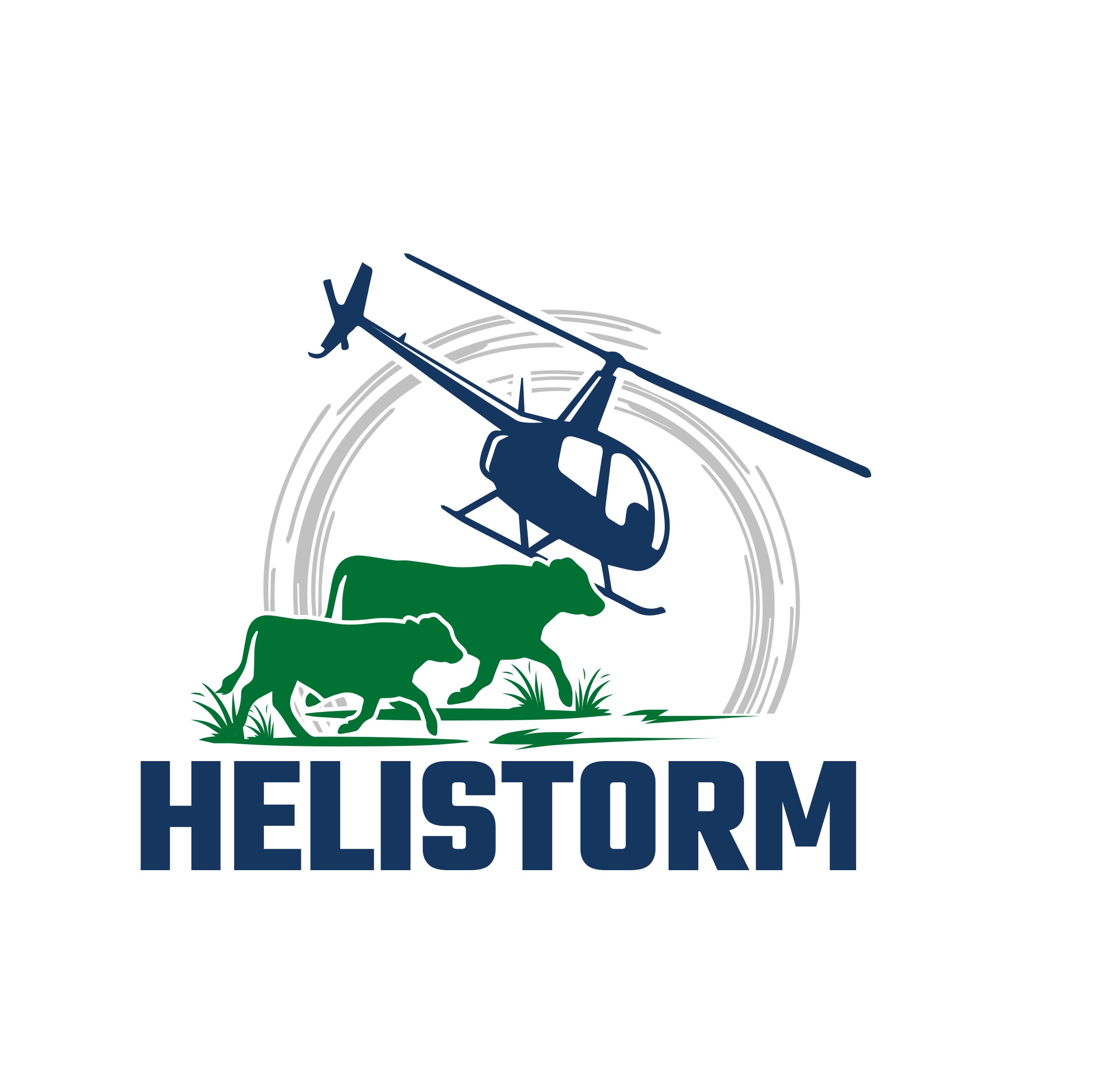 Logo Design by rgb01 for HELISTORM PTY LTD | Design #36430353