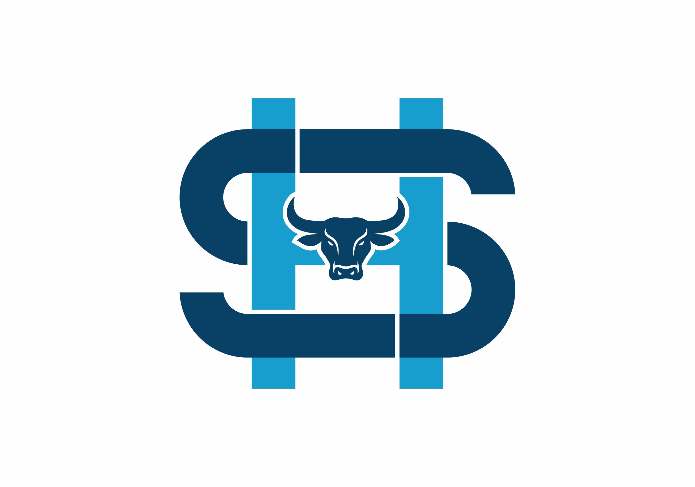 Logo Design by Borago for HELISTORM PTY LTD | Design #36515003