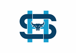 Logo Design by Borago for HELISTORM PTY LTD | Design: #36515003