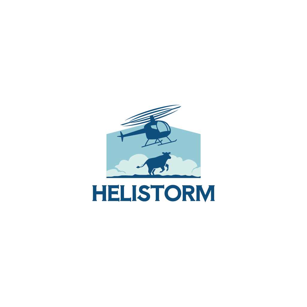 Logo Design by Jerwin Intac for HELISTORM PTY LTD | Design #36407030