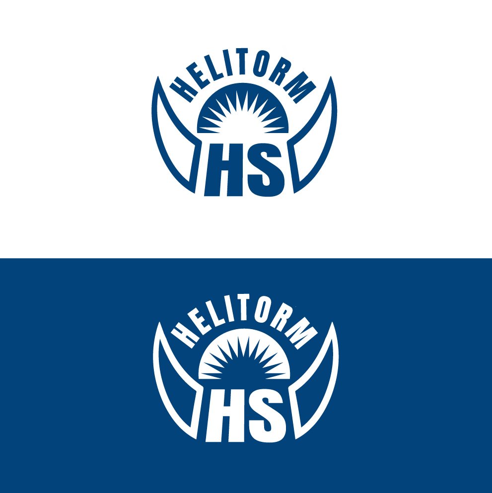 Logo Design by WATER ROCK for HELISTORM PTY LTD | Design #36425748