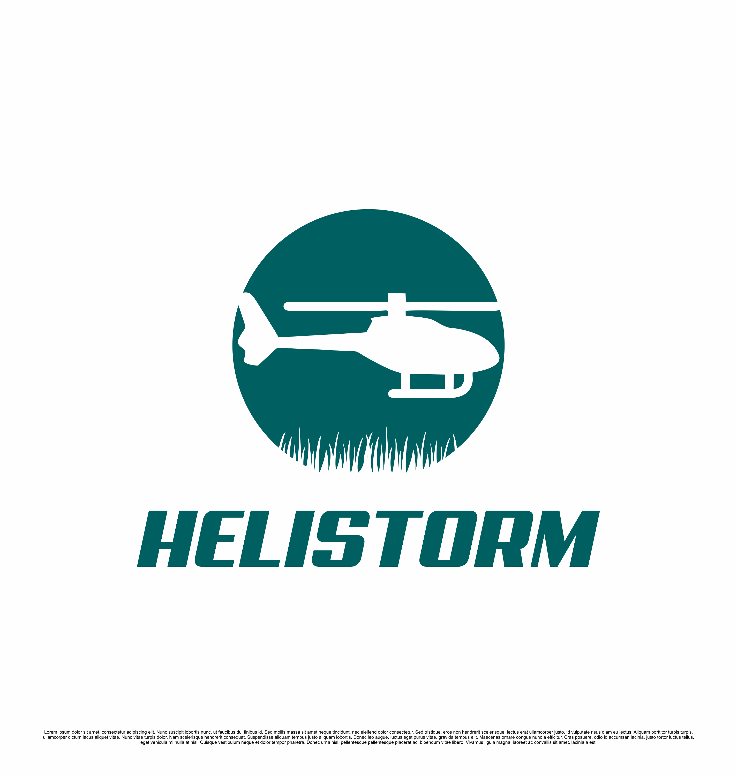 Logo Design by saesean for HELISTORM PTY LTD | Design #36404178