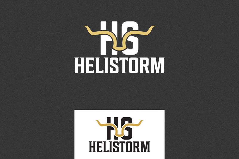 Logo Design by Zt Art for HELISTORM PTY LTD | Design #36400109