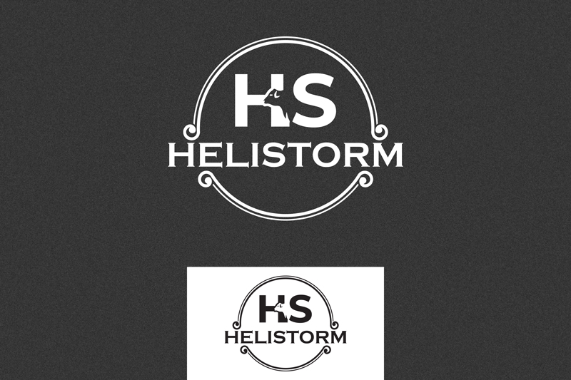 Logo Design by Zt Art for HELISTORM PTY LTD | Design #36400110