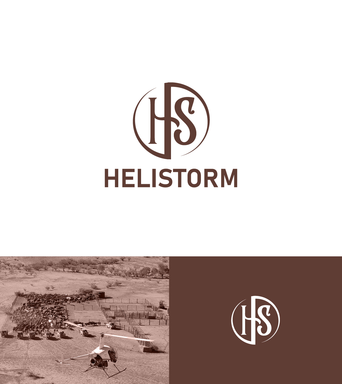 Logo Design by apik. for HELISTORM PTY LTD | Design #36396144