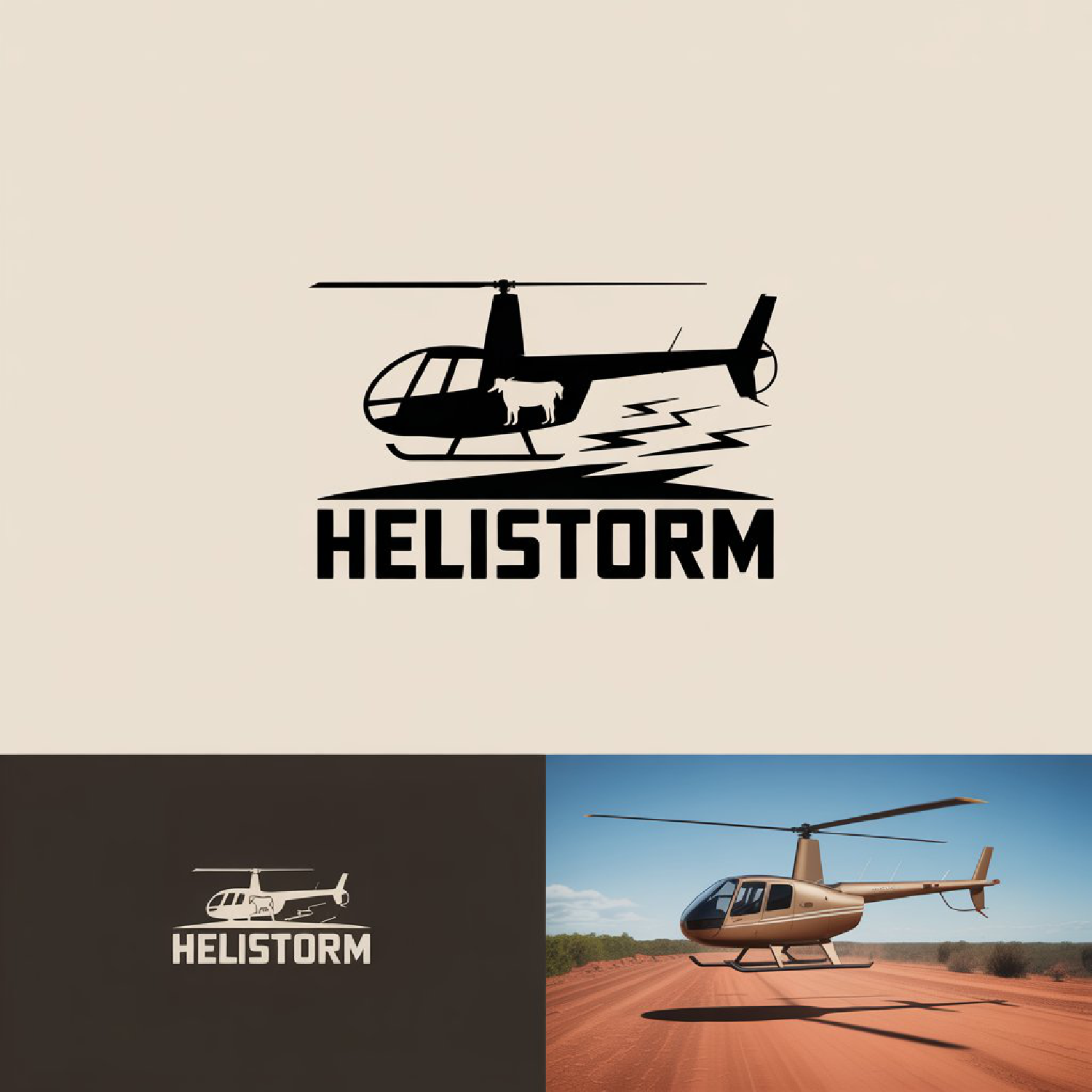 Logo Design by LPMG for HELISTORM PTY LTD | Design #36428229