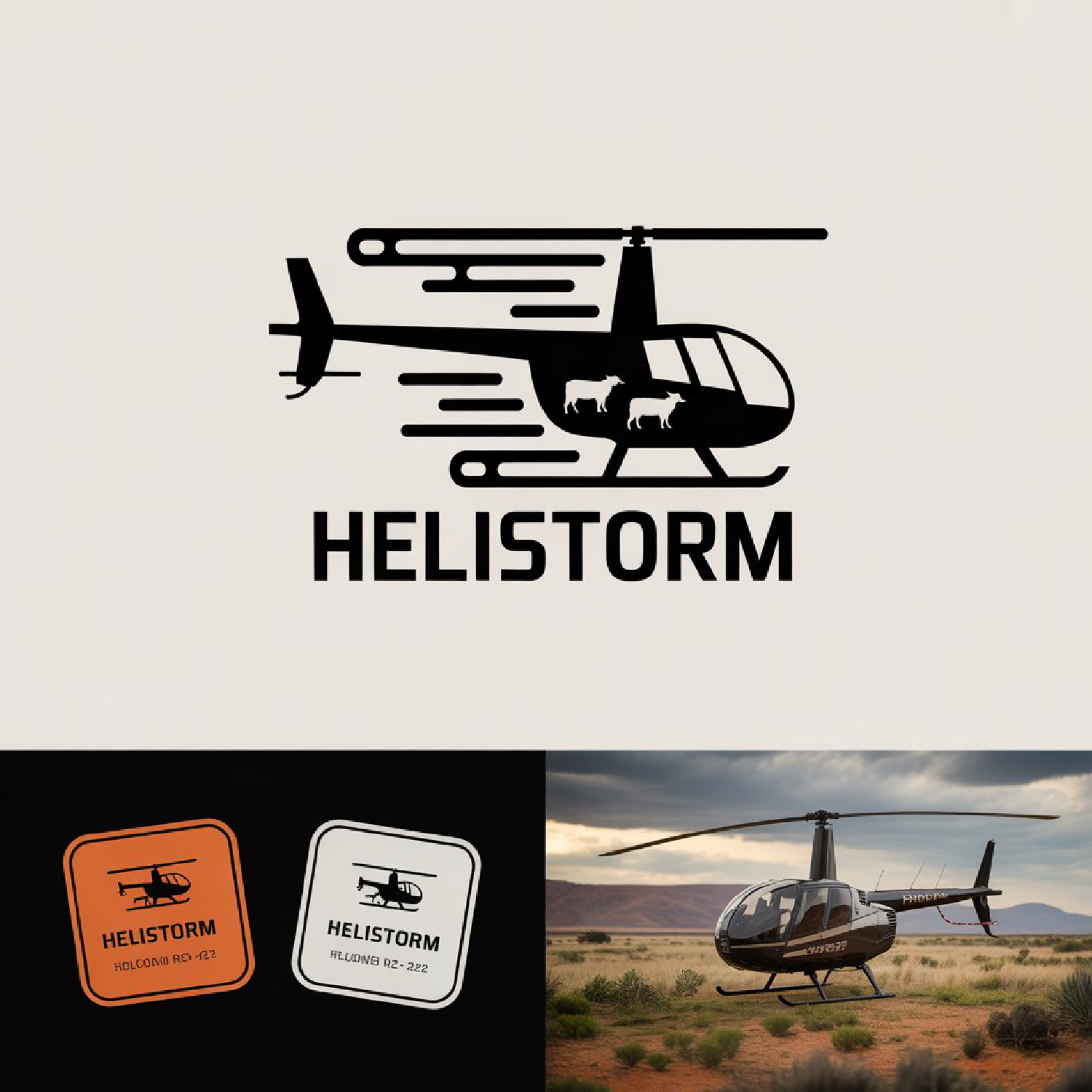Logo Design by LPMG for HELISTORM PTY LTD | Design #36428230