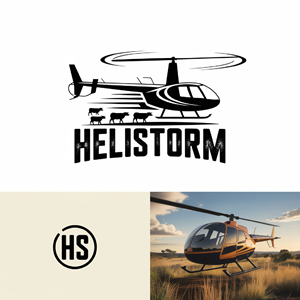 Logo Design by LPMG for HELISTORM PTY LTD | Design: #36428233