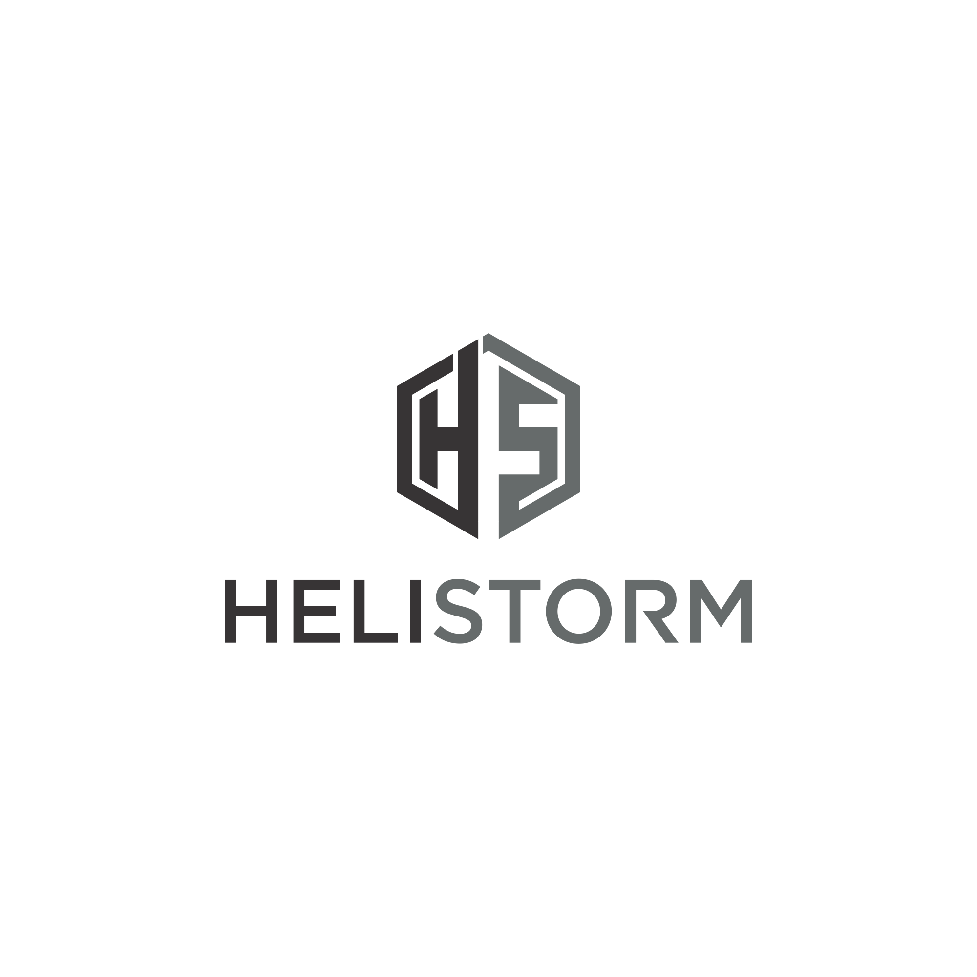 Logo Design by AsFN for HELISTORM PTY LTD | Design #36401886
