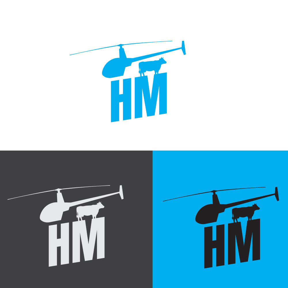 Logo-Design von ravizg für HELISTORM PTY LTD | Design #36400474