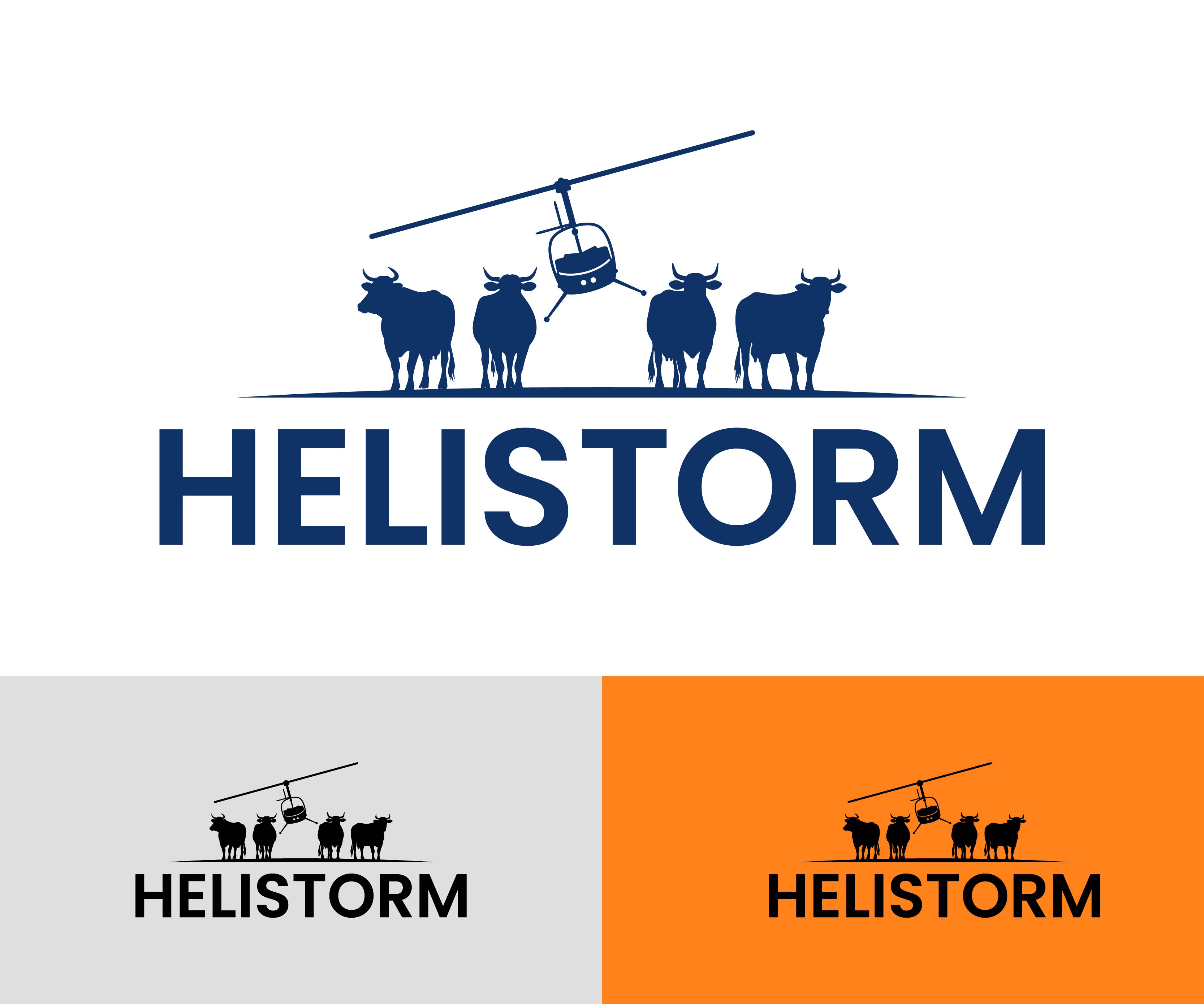 Logo Design by Artify360 for HELISTORM PTY LTD | Design #36393609
