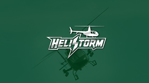 Logo Design by "DesignsWorld" for HELISTORM PTY LTD | Design: #36429857