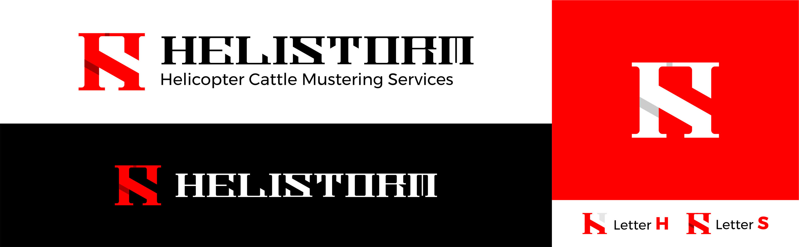 Logo Design by HantuRimba for HELISTORM PTY LTD | Design #36424928