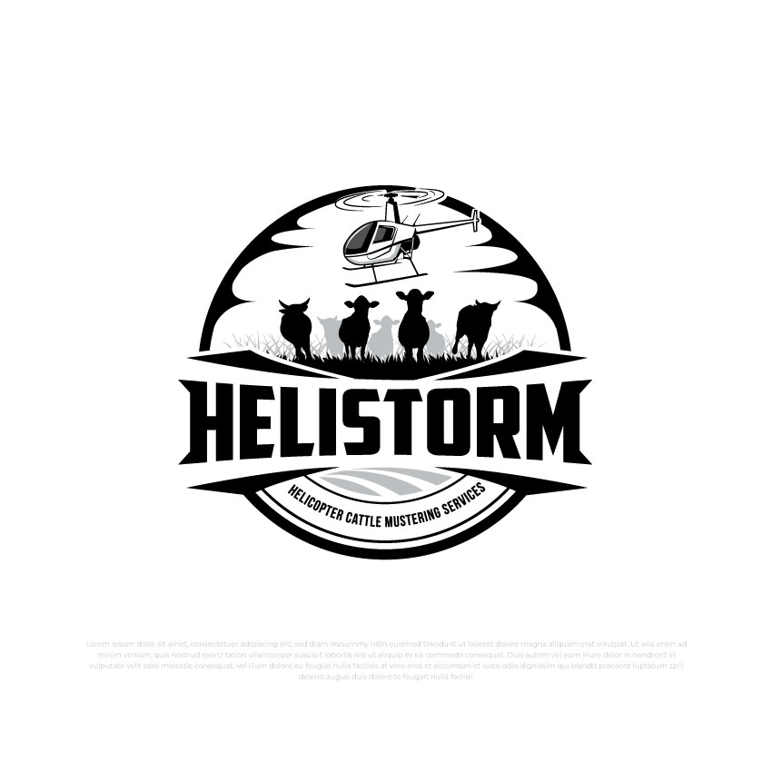 Logo Design by Timefortheweb for HELISTORM PTY LTD | Design #36395056