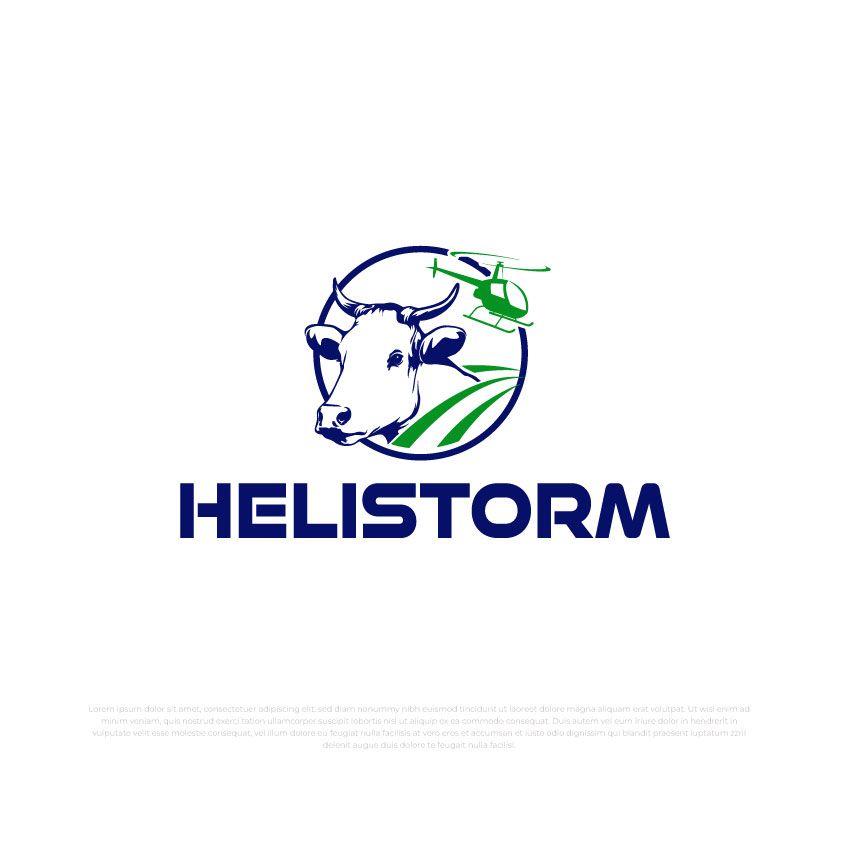 Logo Design by Timefortheweb for HELISTORM PTY LTD | Design #36395062