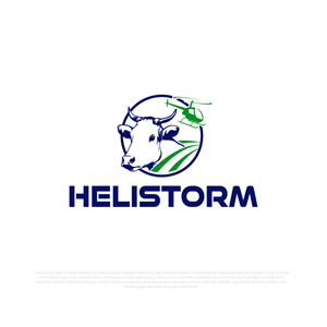 Logo Design by Timefortheweb for HELISTORM PTY LTD | Design: #36395062