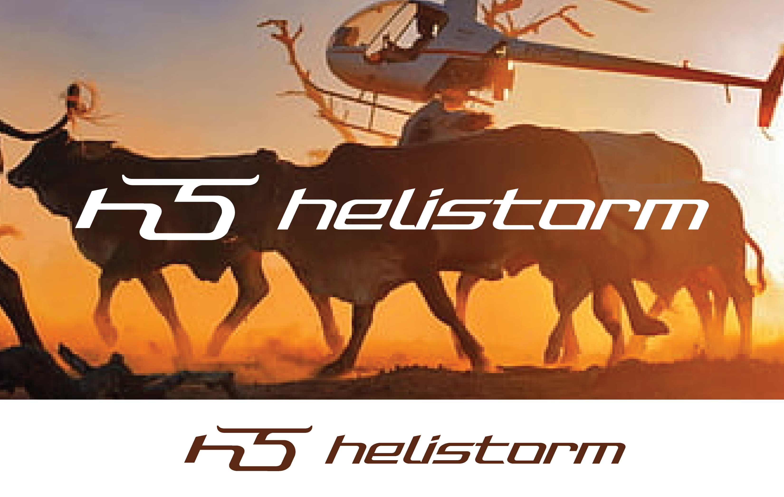 Logo Design by Grafactory for HELISTORM PTY LTD | Design #36400622