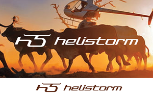 Logo Design by Grafactory for HELISTORM PTY LTD | Design: #36400622