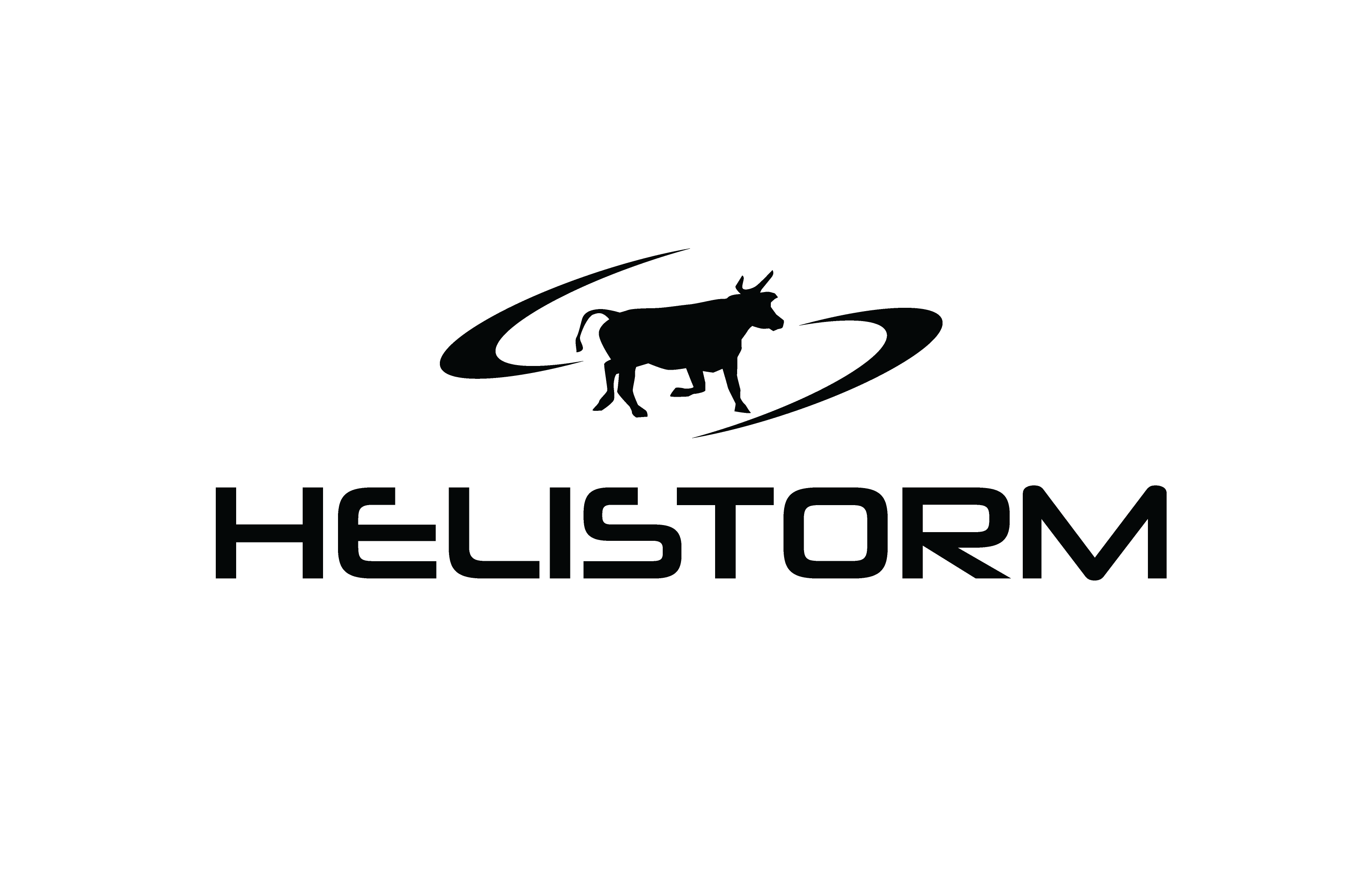 Logo Design by Grafactory for HELISTORM PTY LTD | Design #36400734