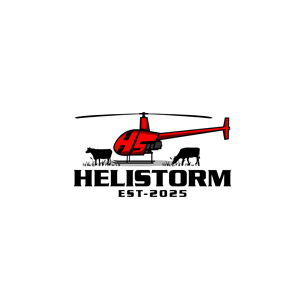 Logo Design by LAXMI DESIGNHUB for HELISTORM PTY LTD | Design: #36396372