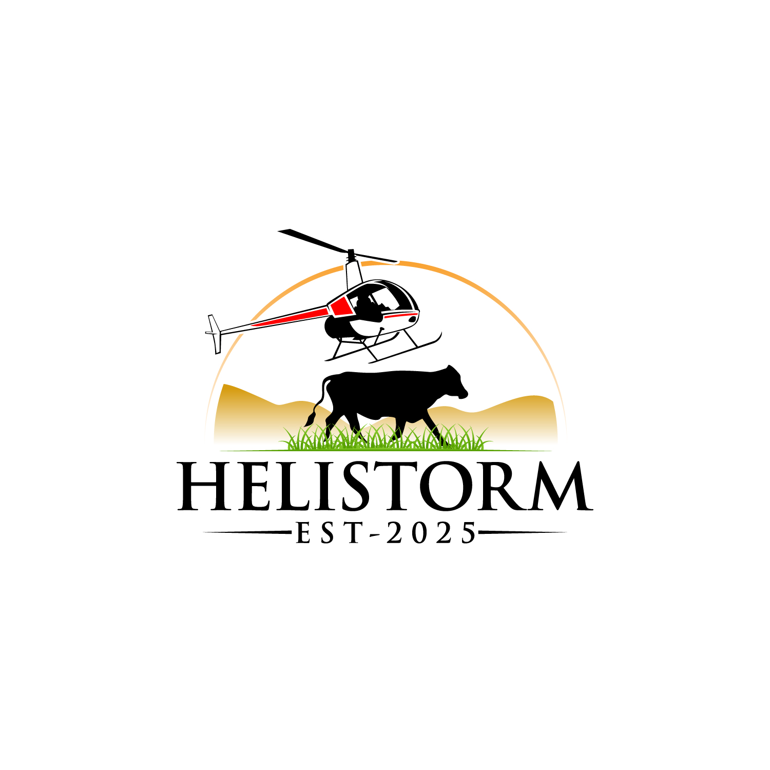 Logo Design by LAXMI DESIGNHUB for HELISTORM PTY LTD | Design #36396373
