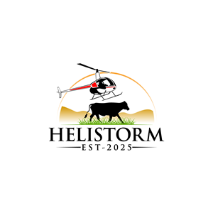 Logo Design by LAXMI DESIGNHUB for HELISTORM PTY LTD | Design: #36396373