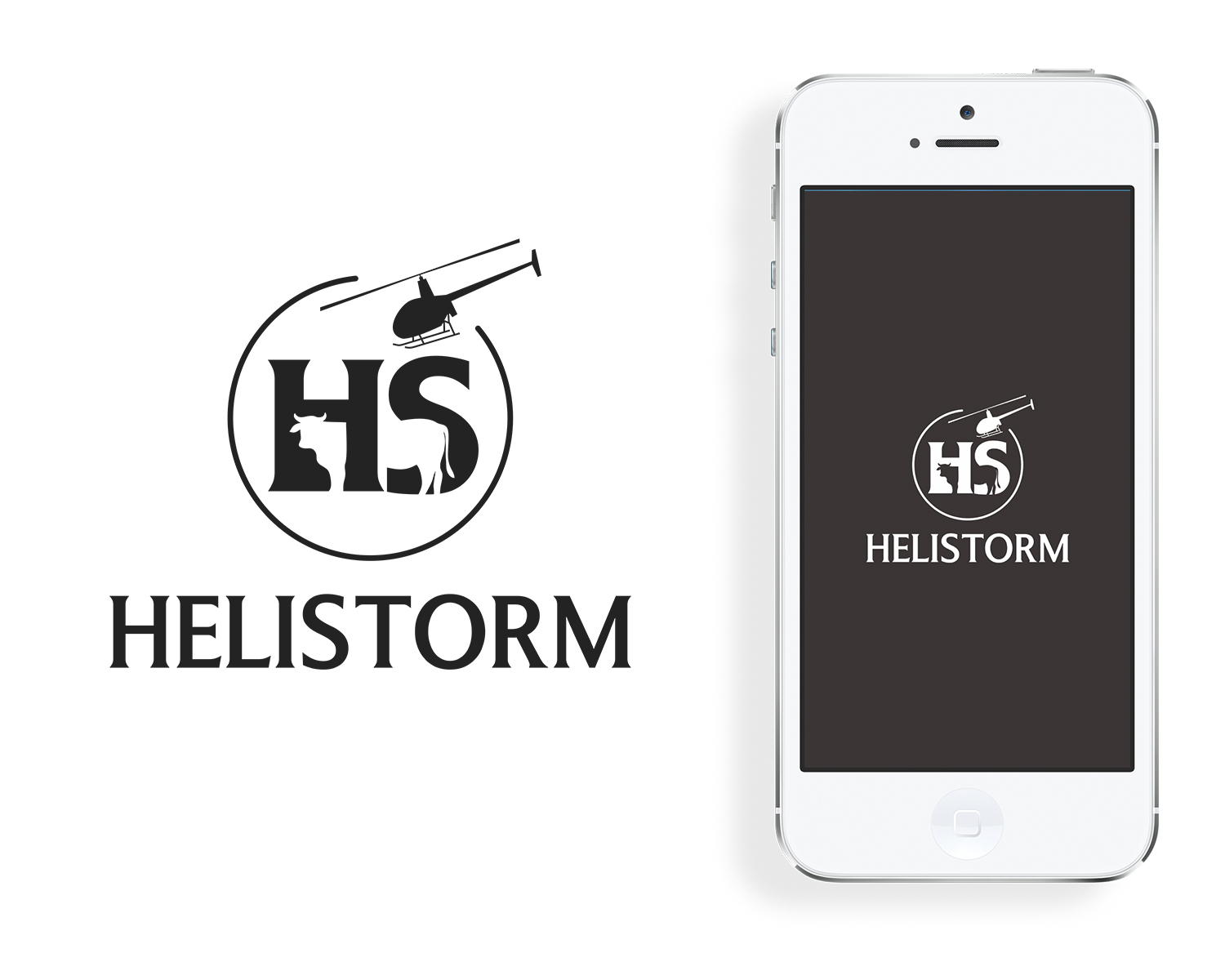Logo Design by Djamdesign for HELISTORM PTY LTD | Design #36399083