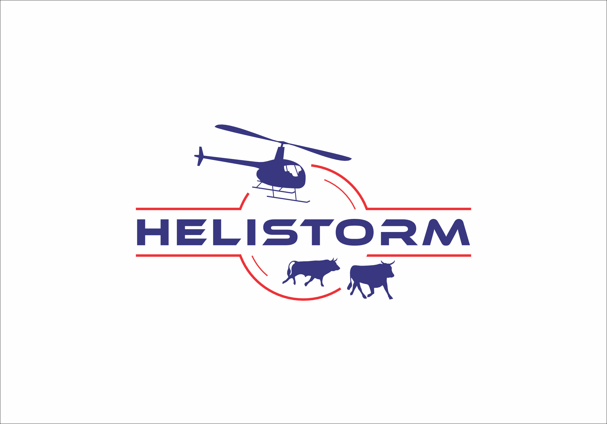 Logo-Design von Asim H. Designs für HELISTORM PTY LTD | Design #36424582
